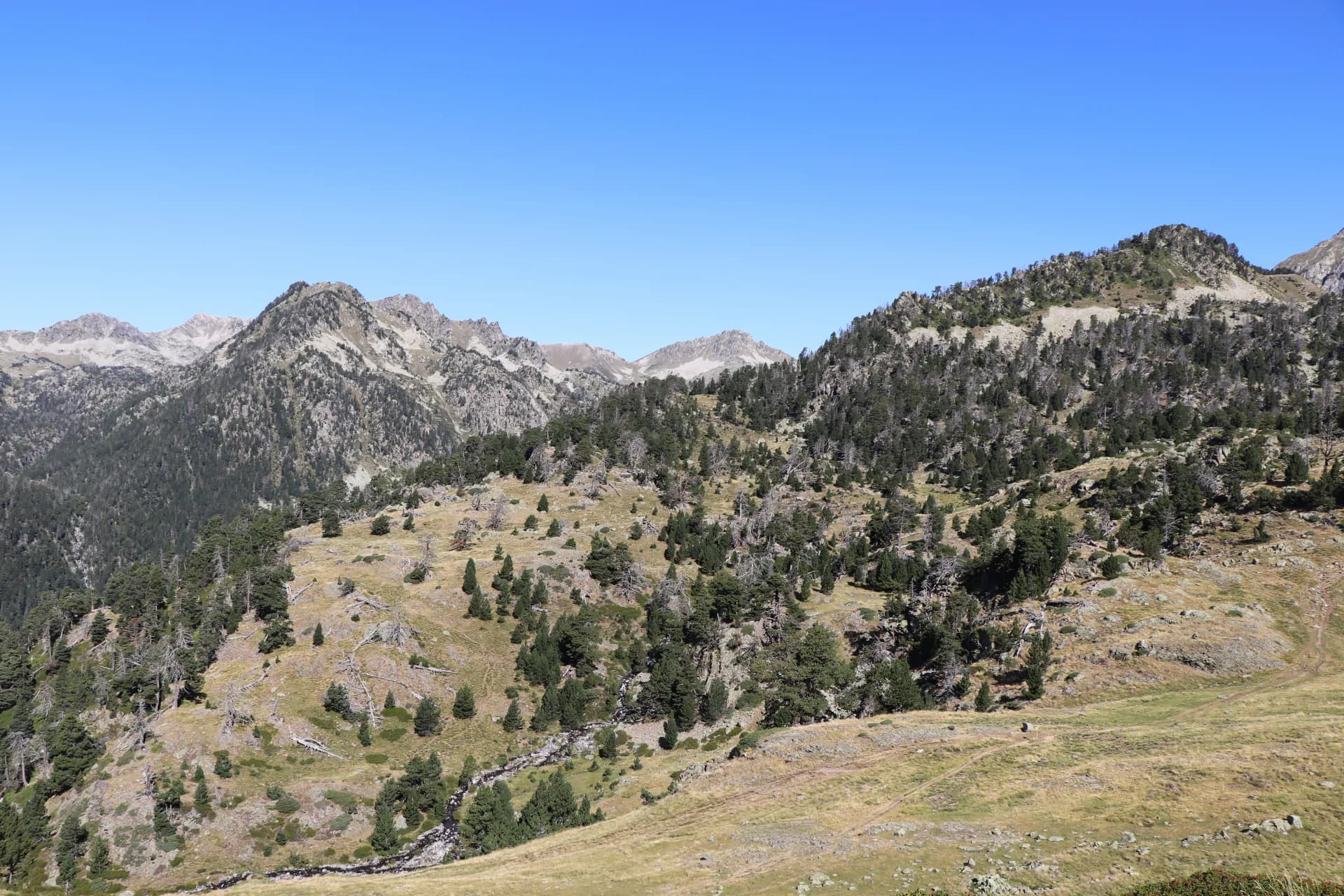 Paisaje de Pirineos